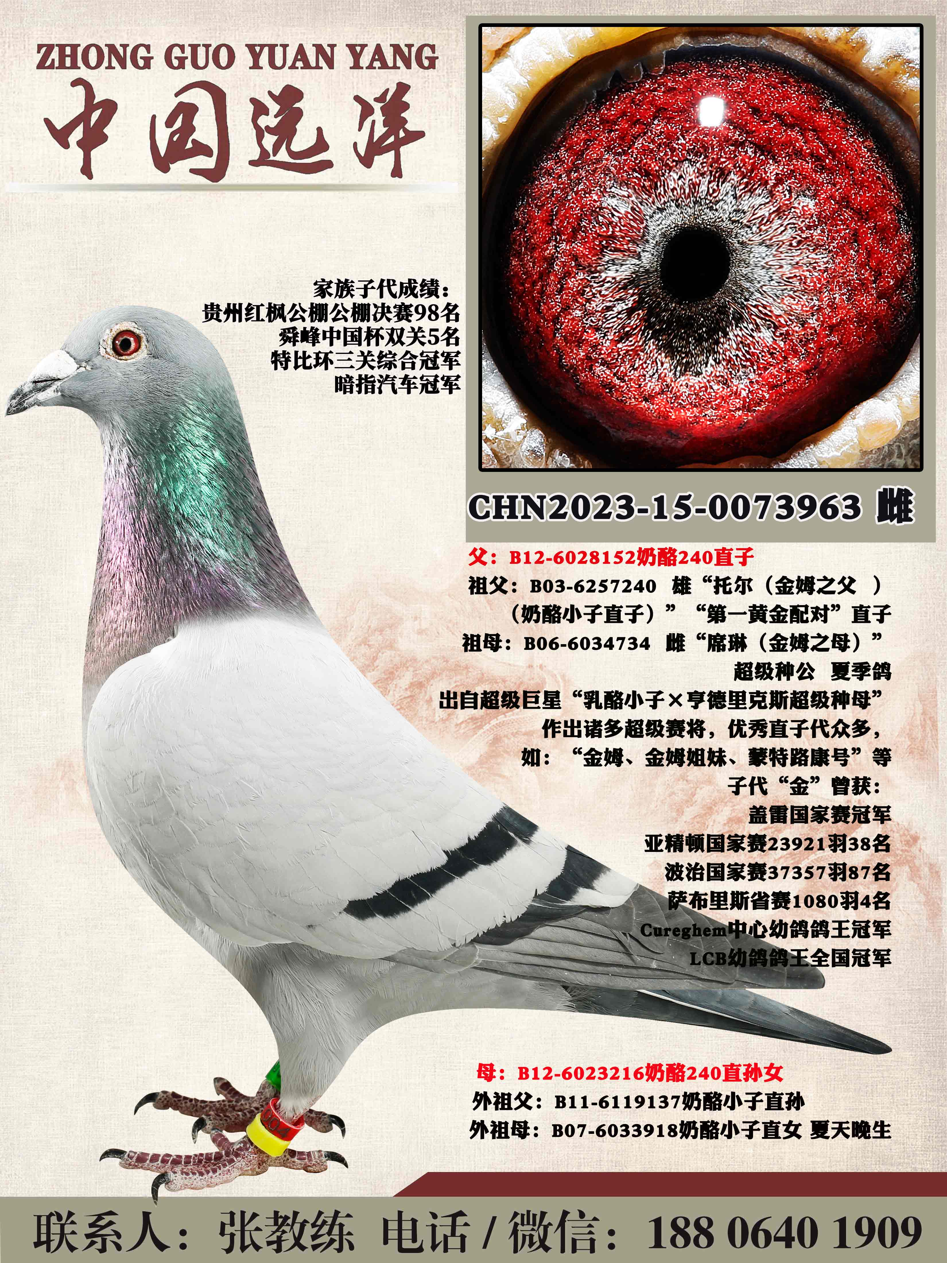 겻ɿQ