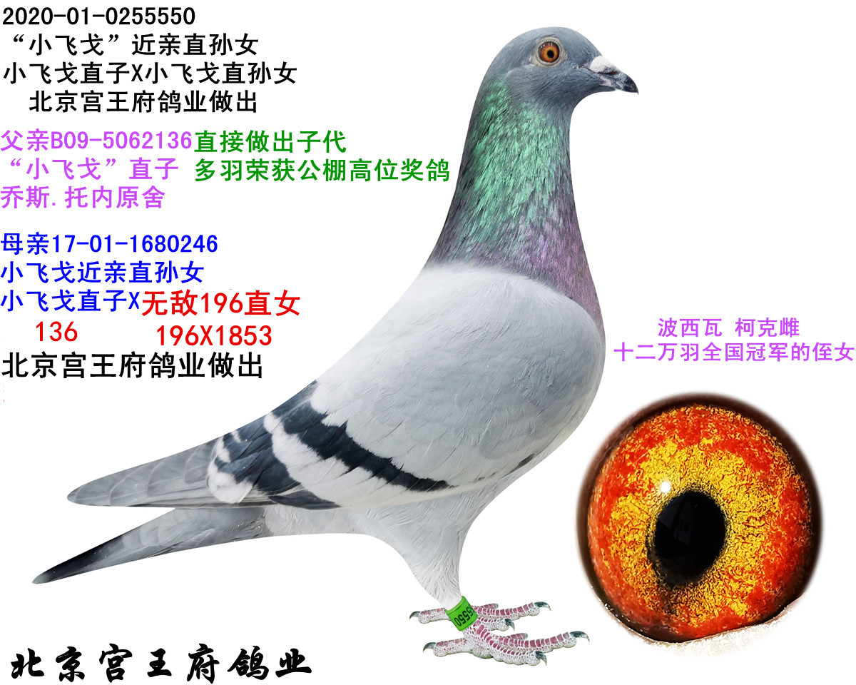 СwHֱOŮ ͬĸ䌦