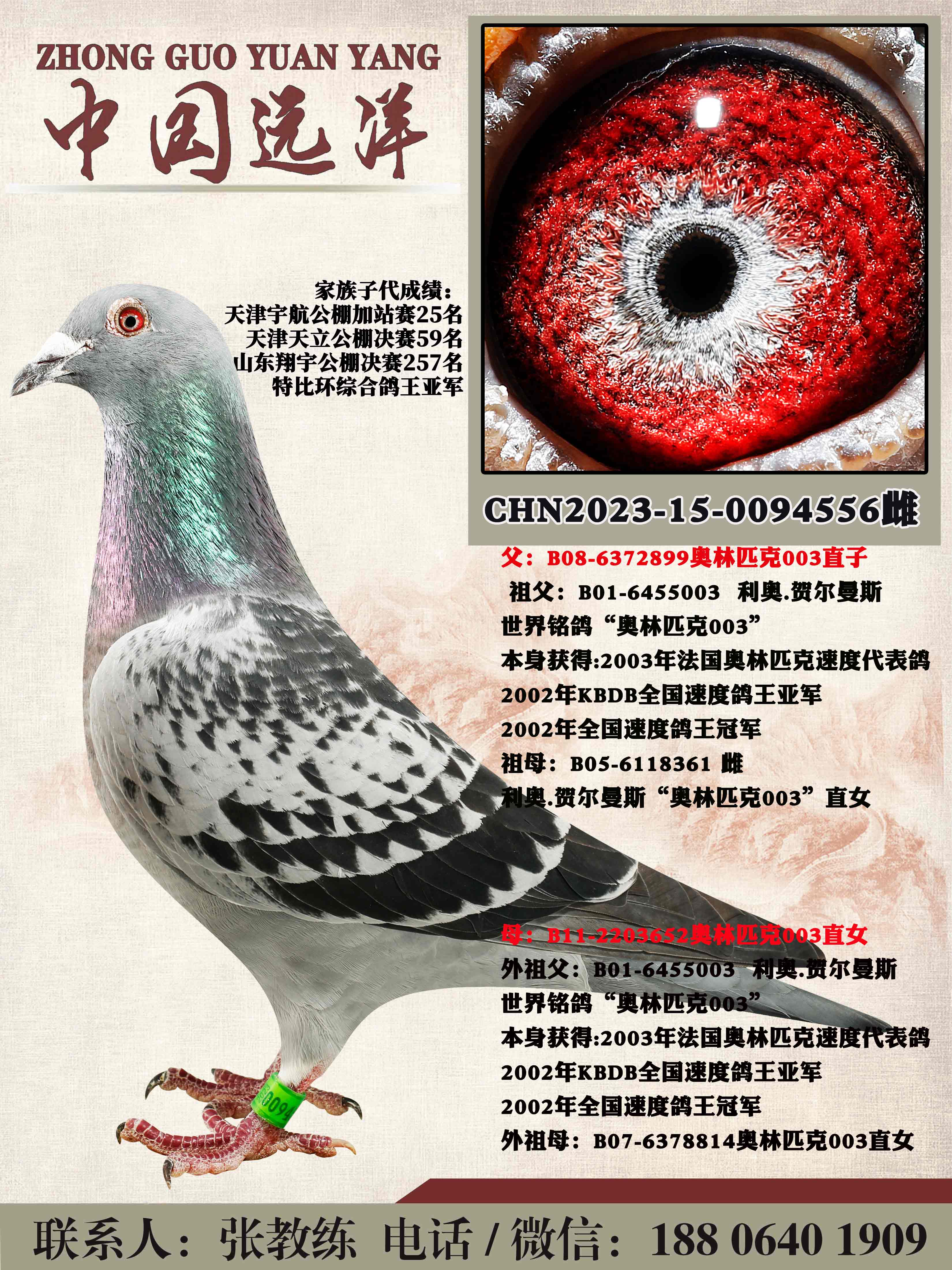 겻ɿQ