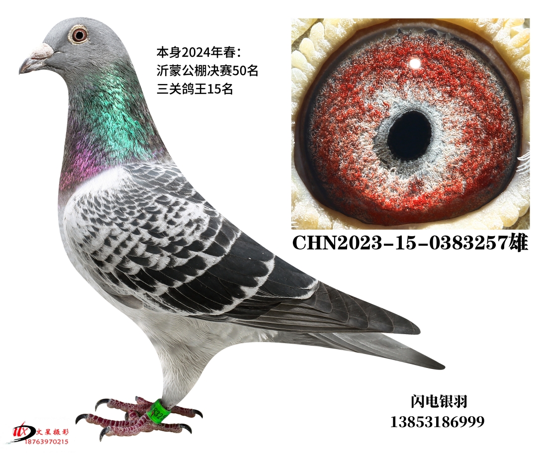 2024年春沂蒙公棚决赛50名