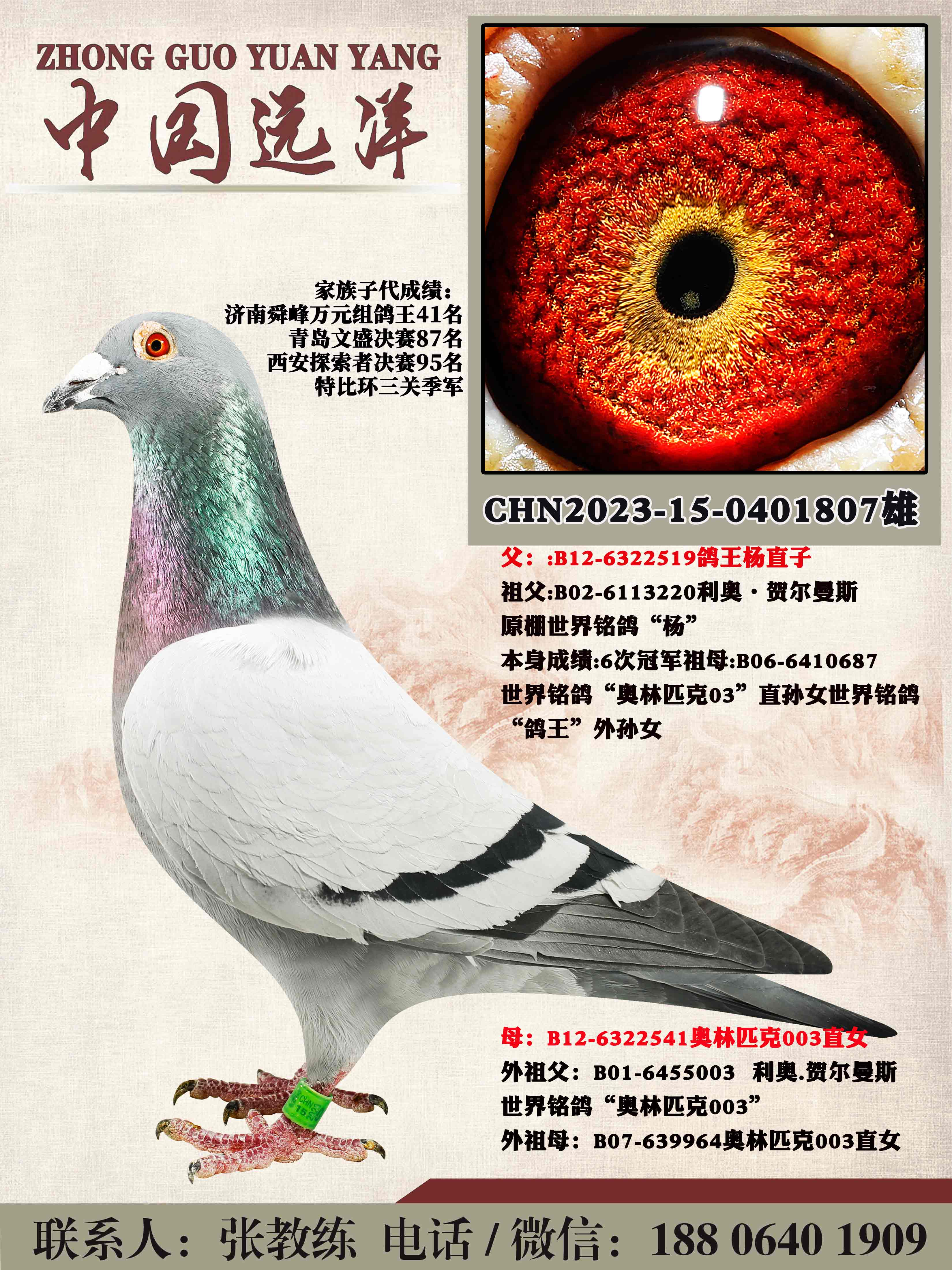 겻ɿQ