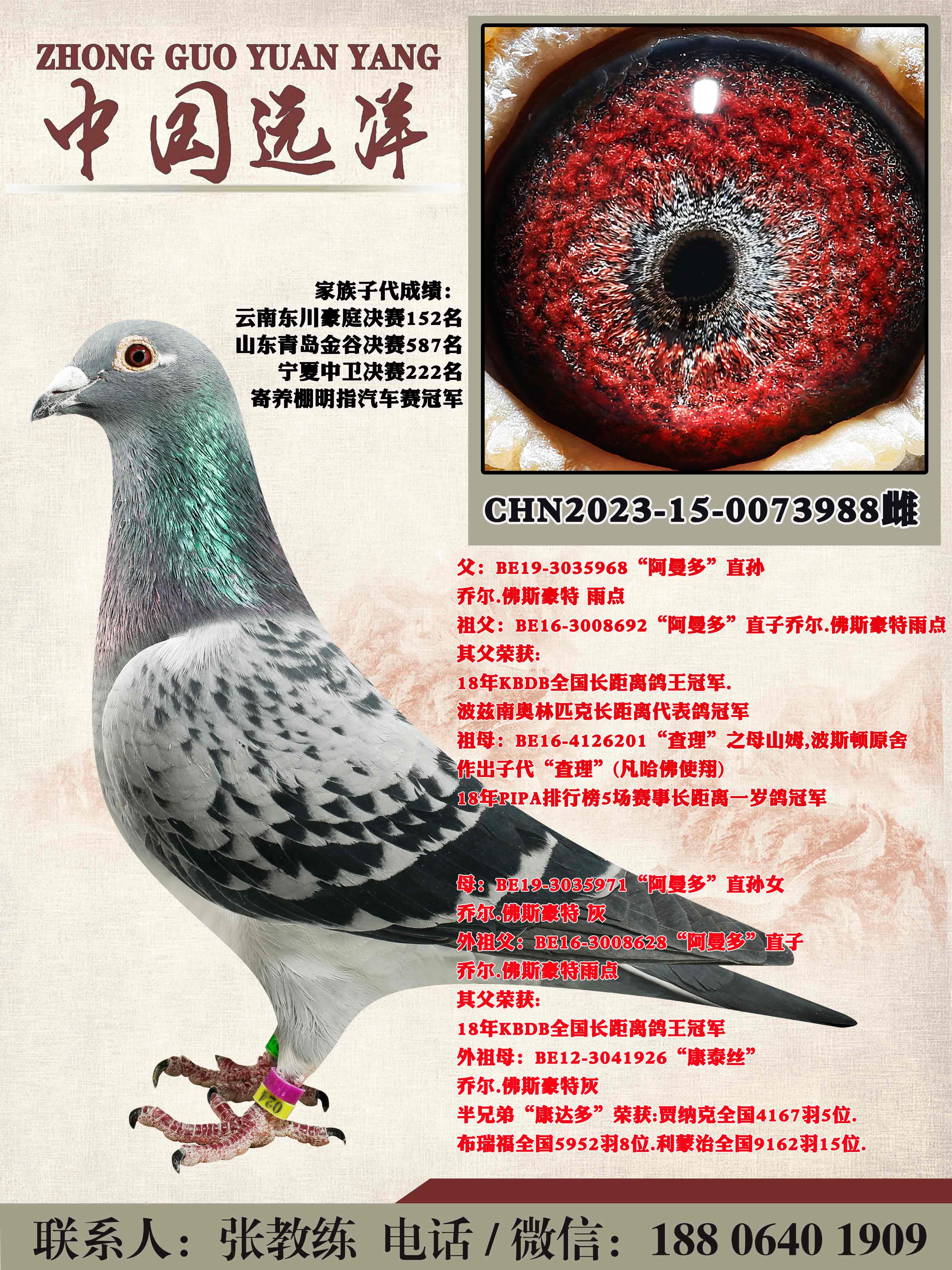겻ɿQ
