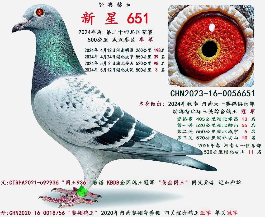 2024괺  ڶʮČÇ(gu)ِ ܊