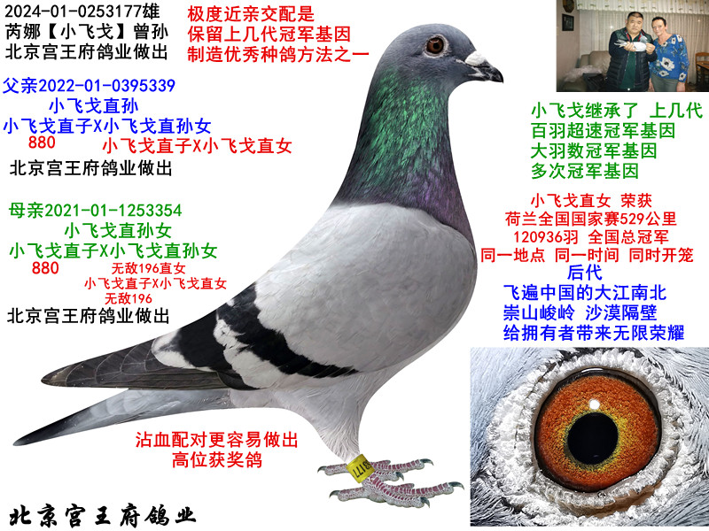 ȡСw꡿O