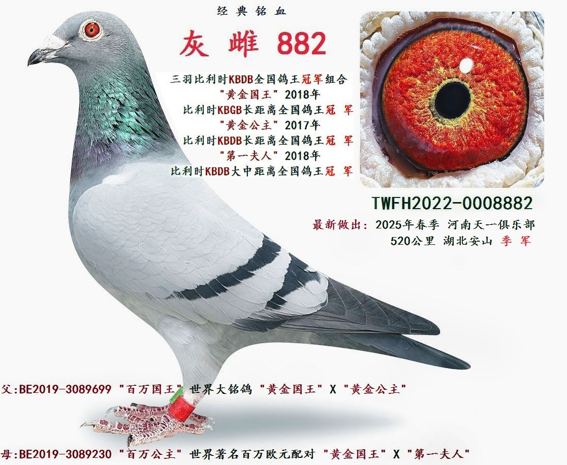   882