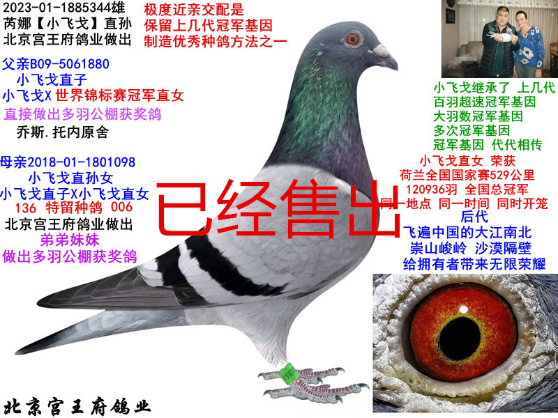 ȡСw꡿ֱO
