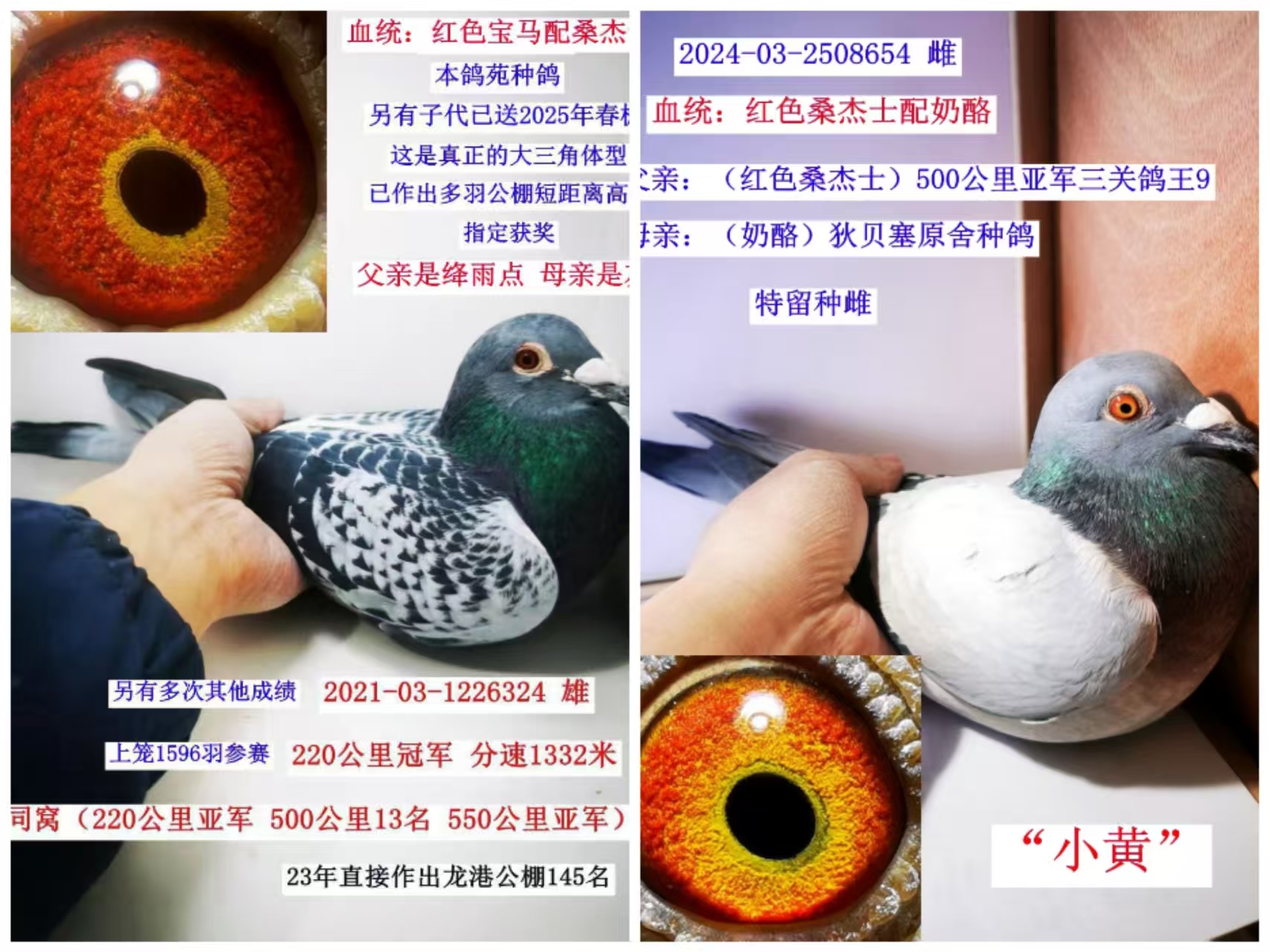 Ӵ300һ