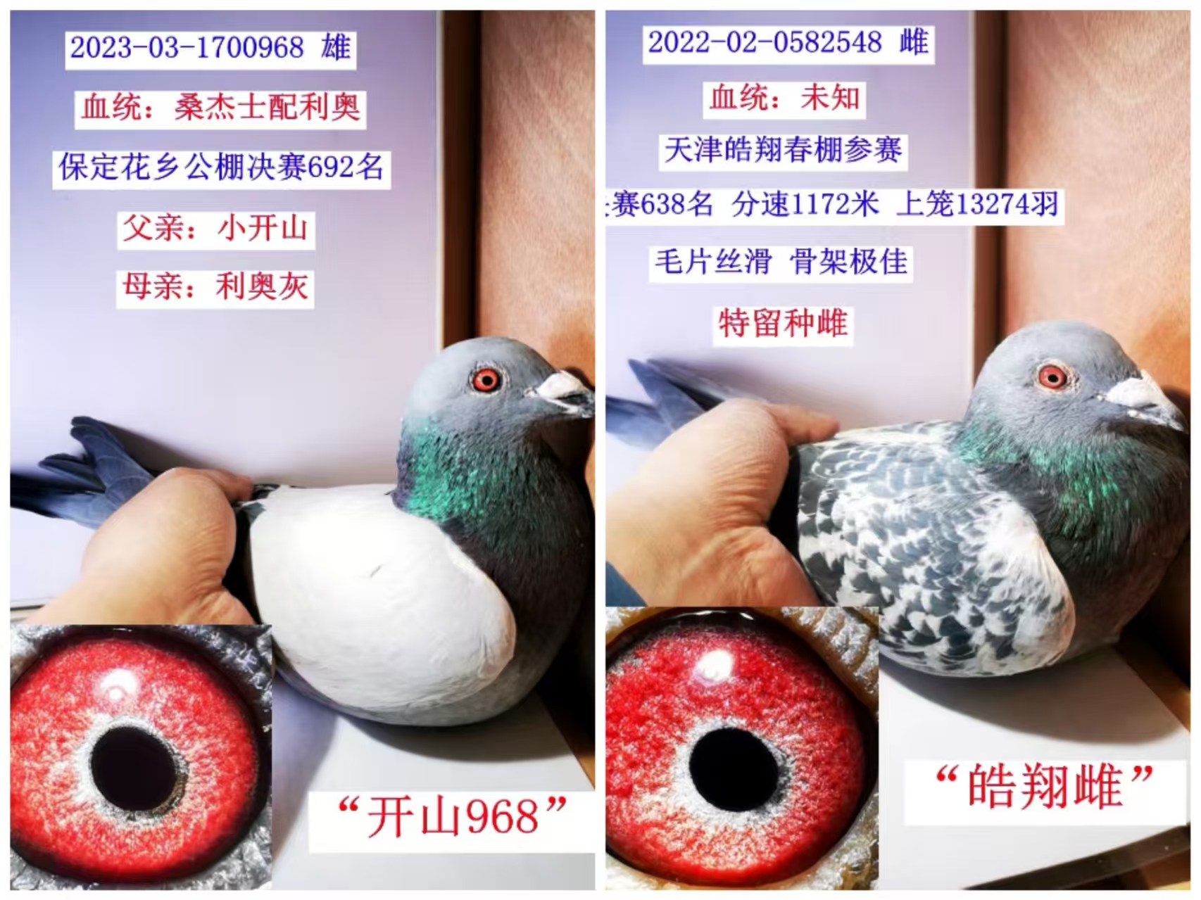 Ӵ500һ