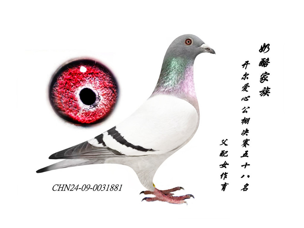 _Qِ58Ѫ