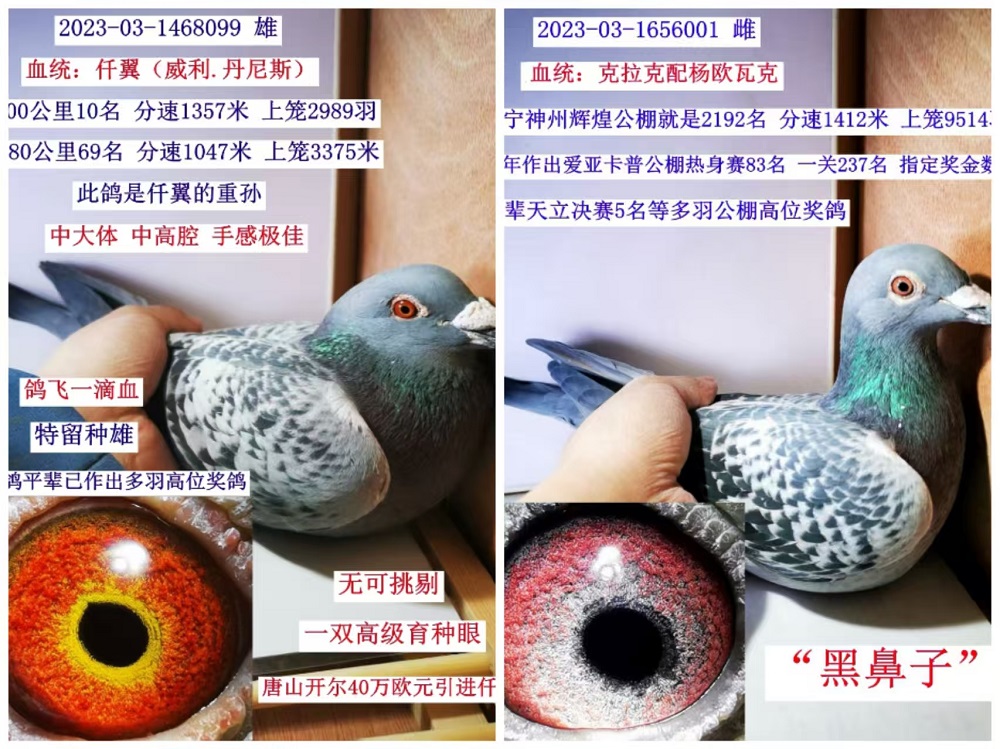 (Ӵ500һ