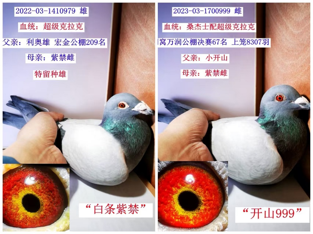 (Ӵ1000һ