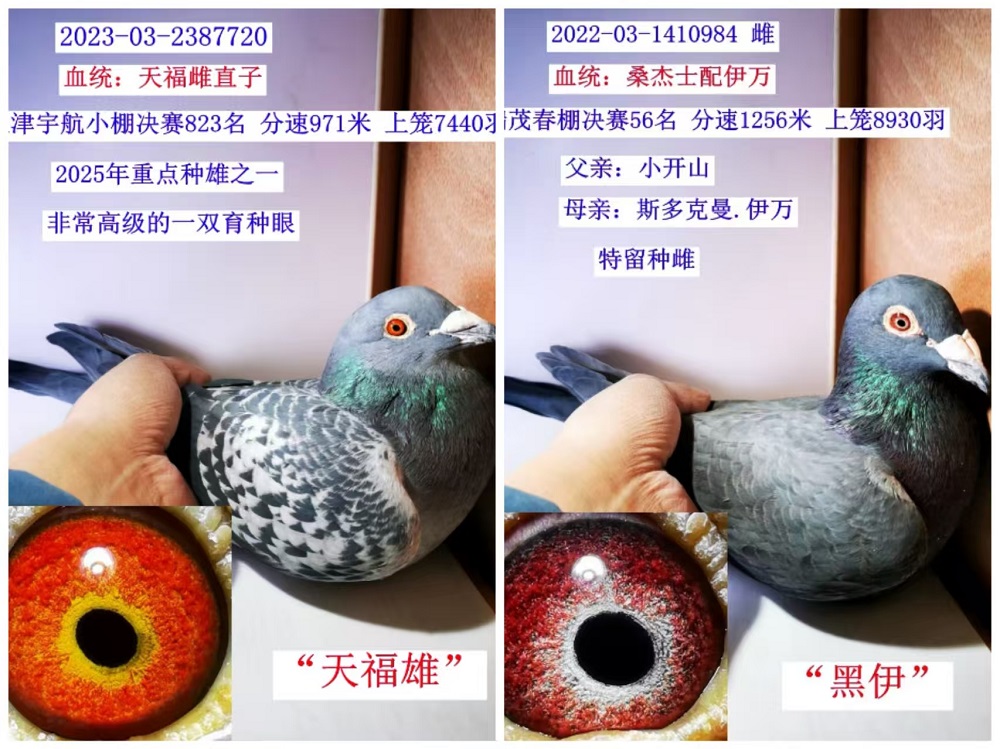 (Ӵ600һ