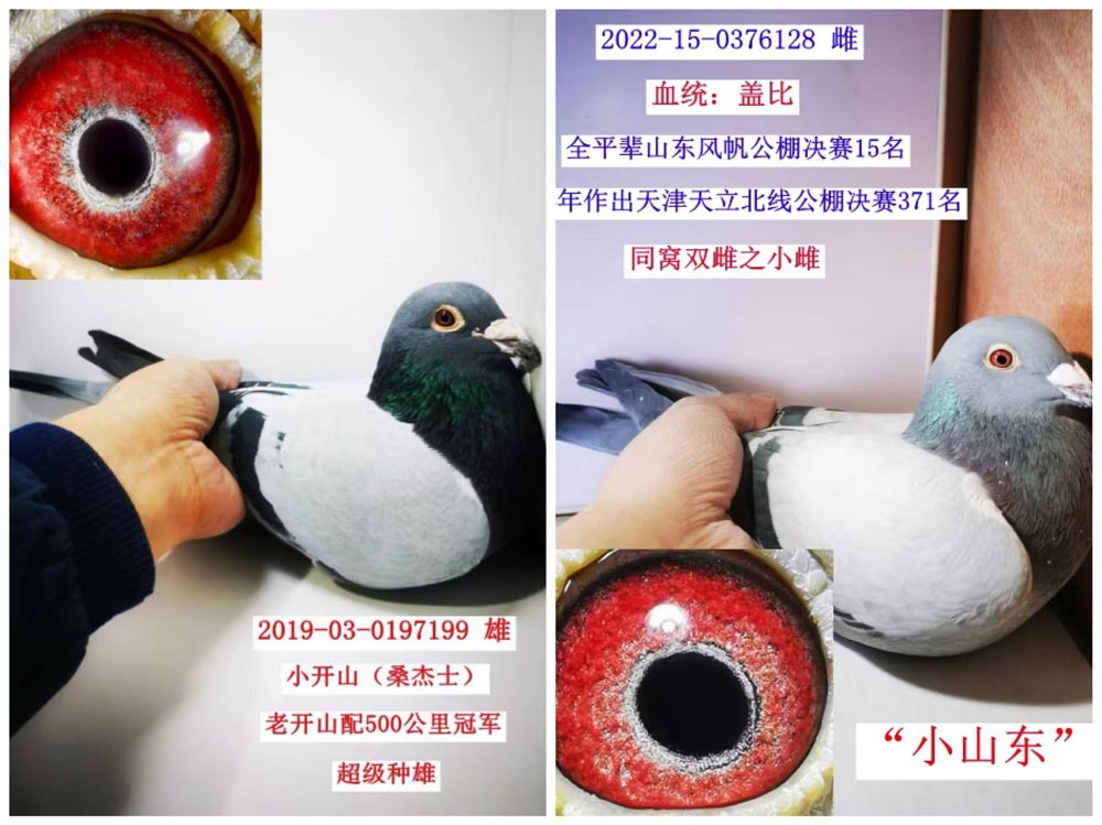 Ӵ2000һ
