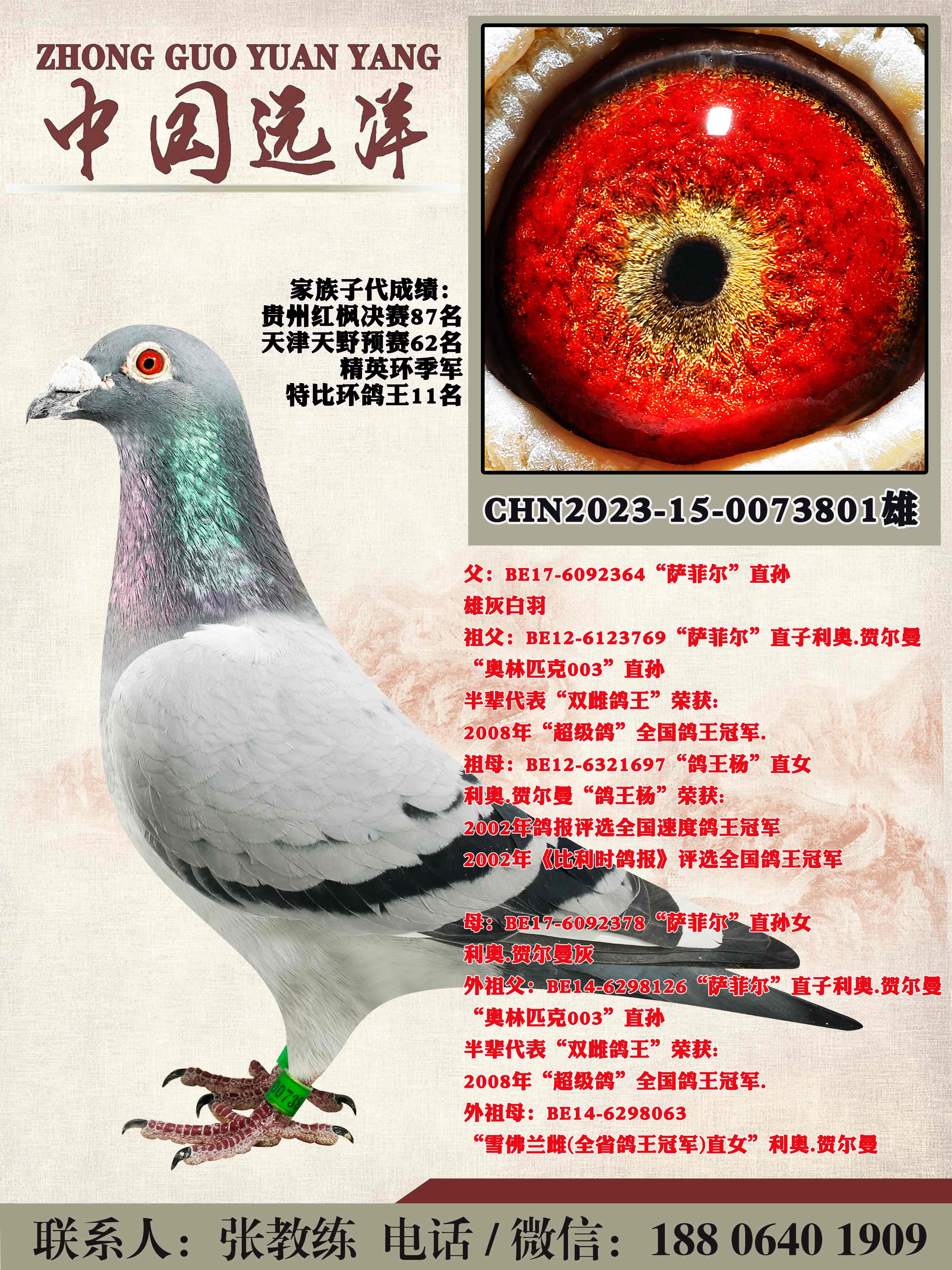 겻ɿQ
