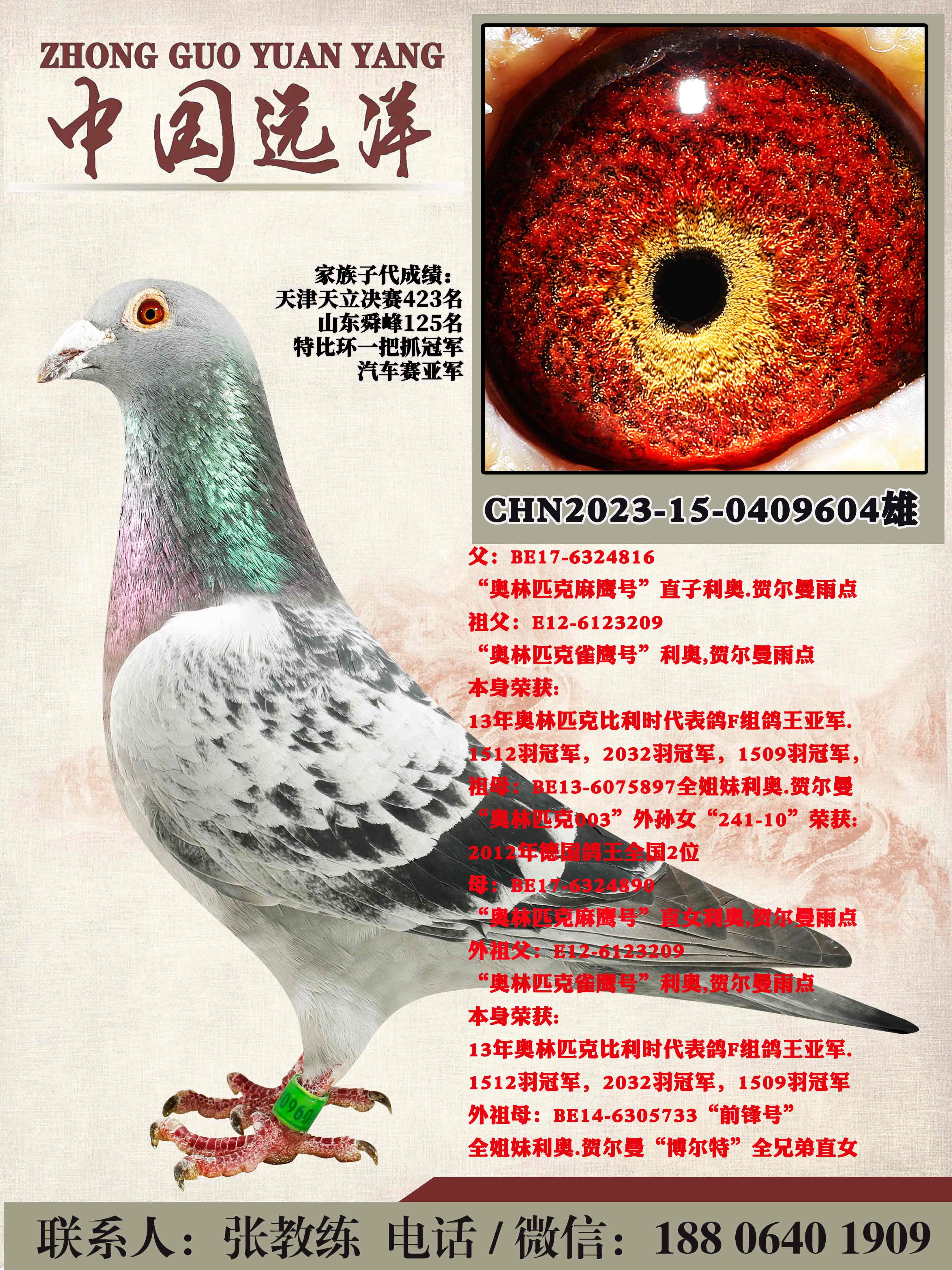 겻ɿ(j)Q