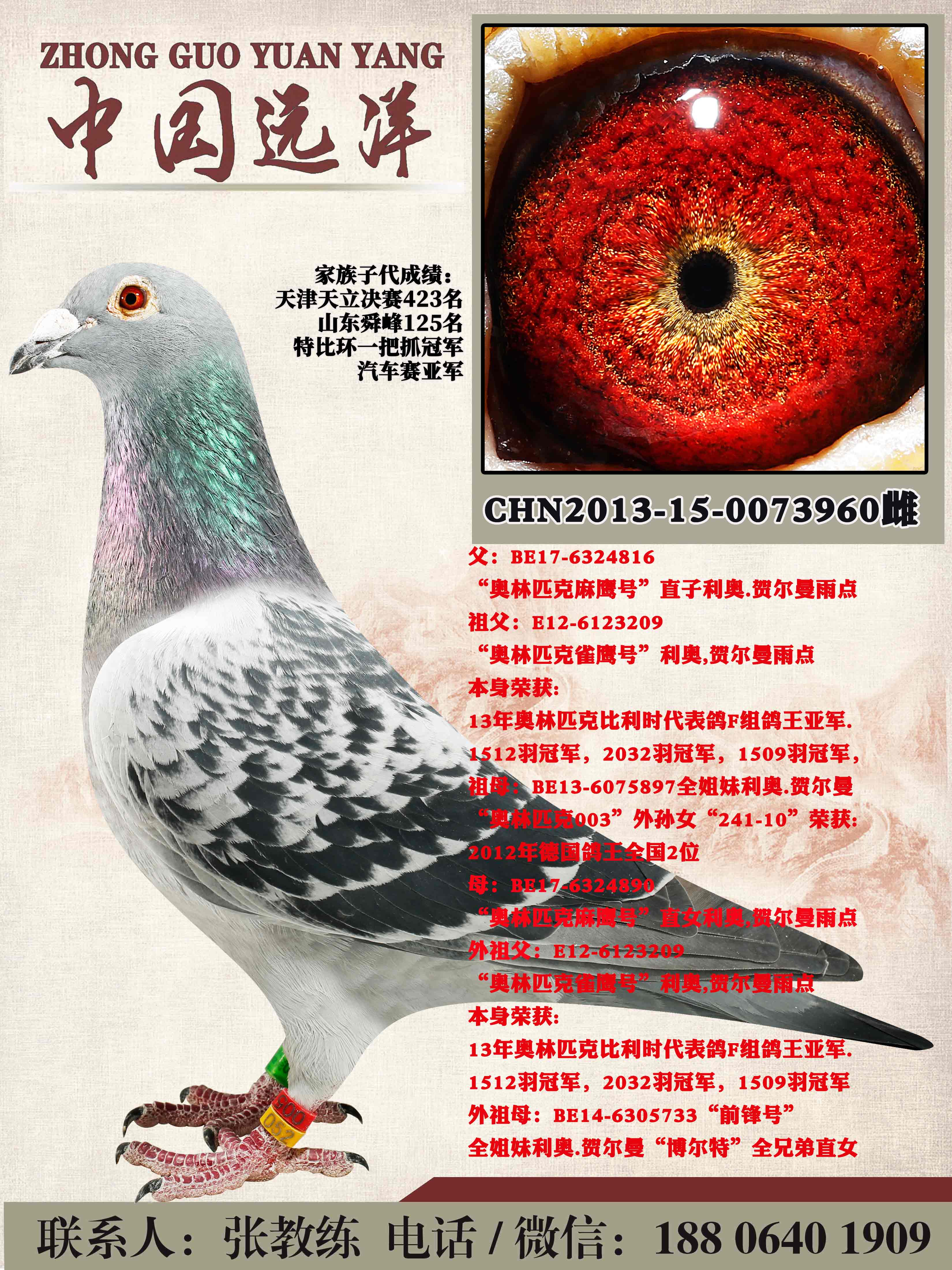 겻ɿQ