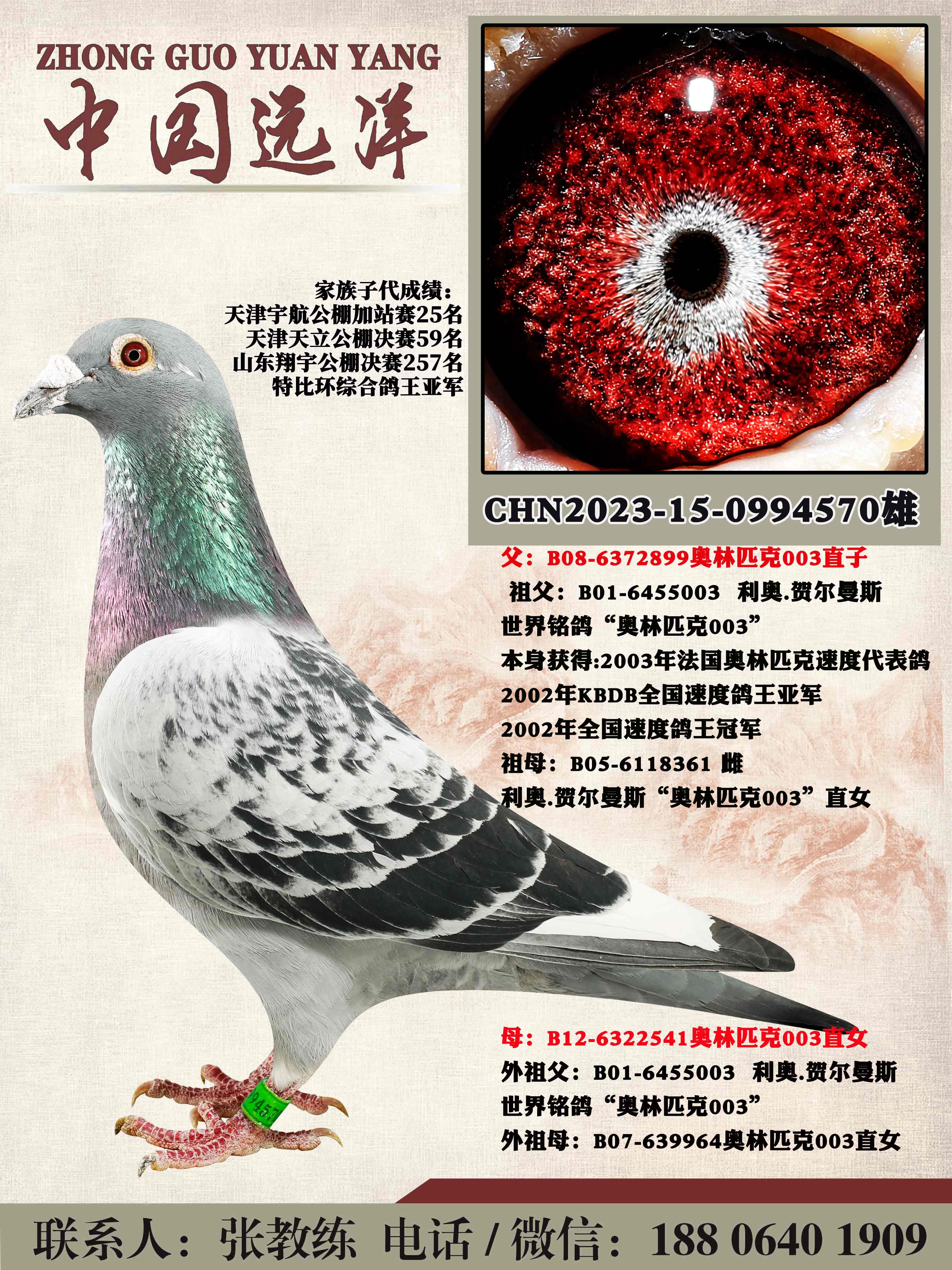 겻ɿ(j)Q