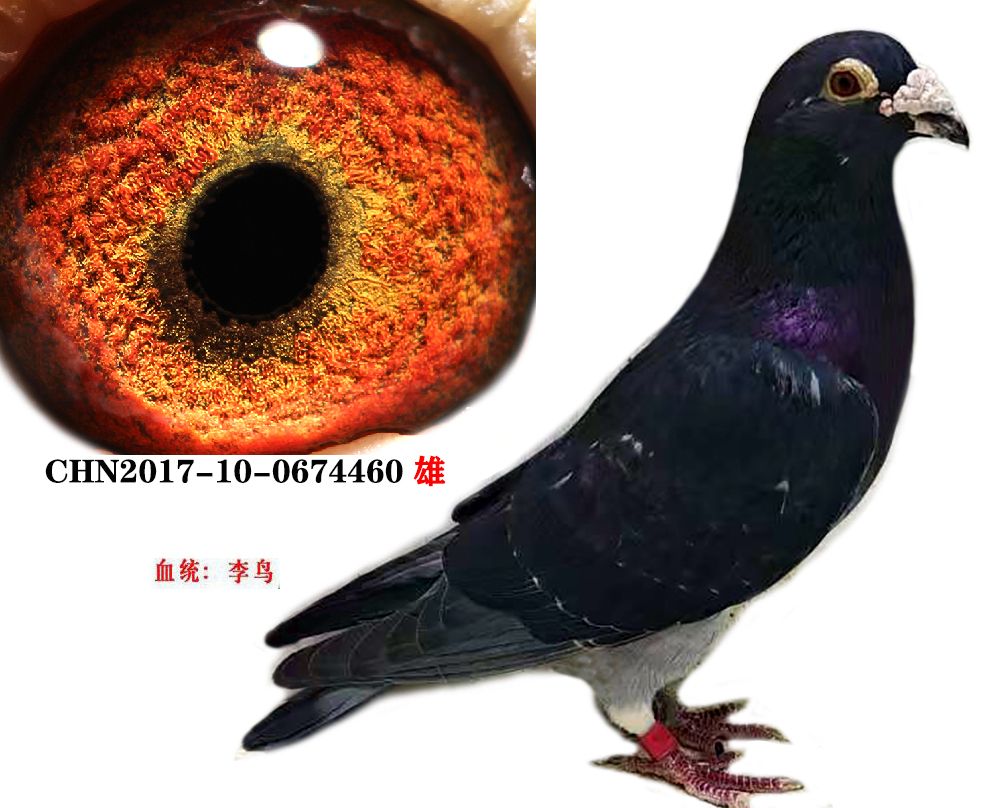 B08