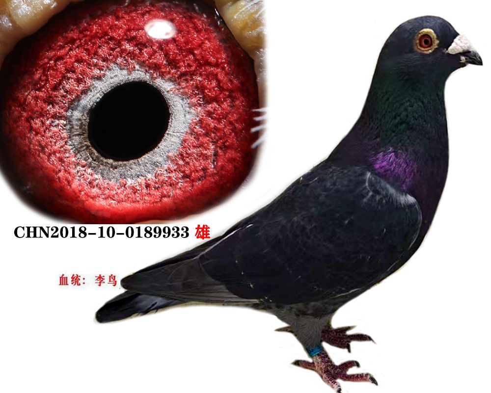 B06