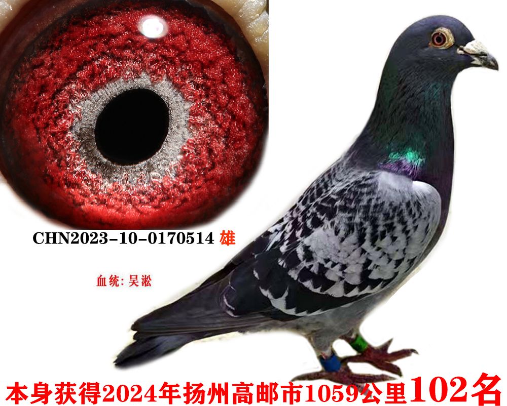 ee9bc76a2a11b8a46b7d89c324157a2