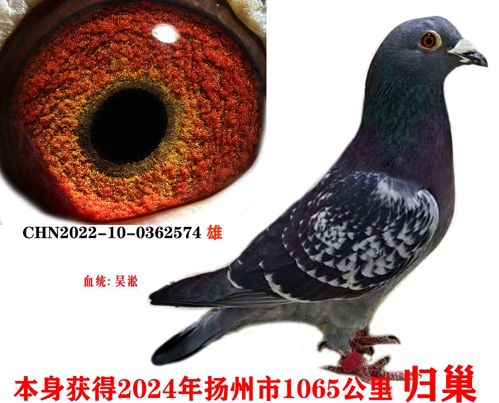 ba25610d0d3c74c702f01ae100322ee