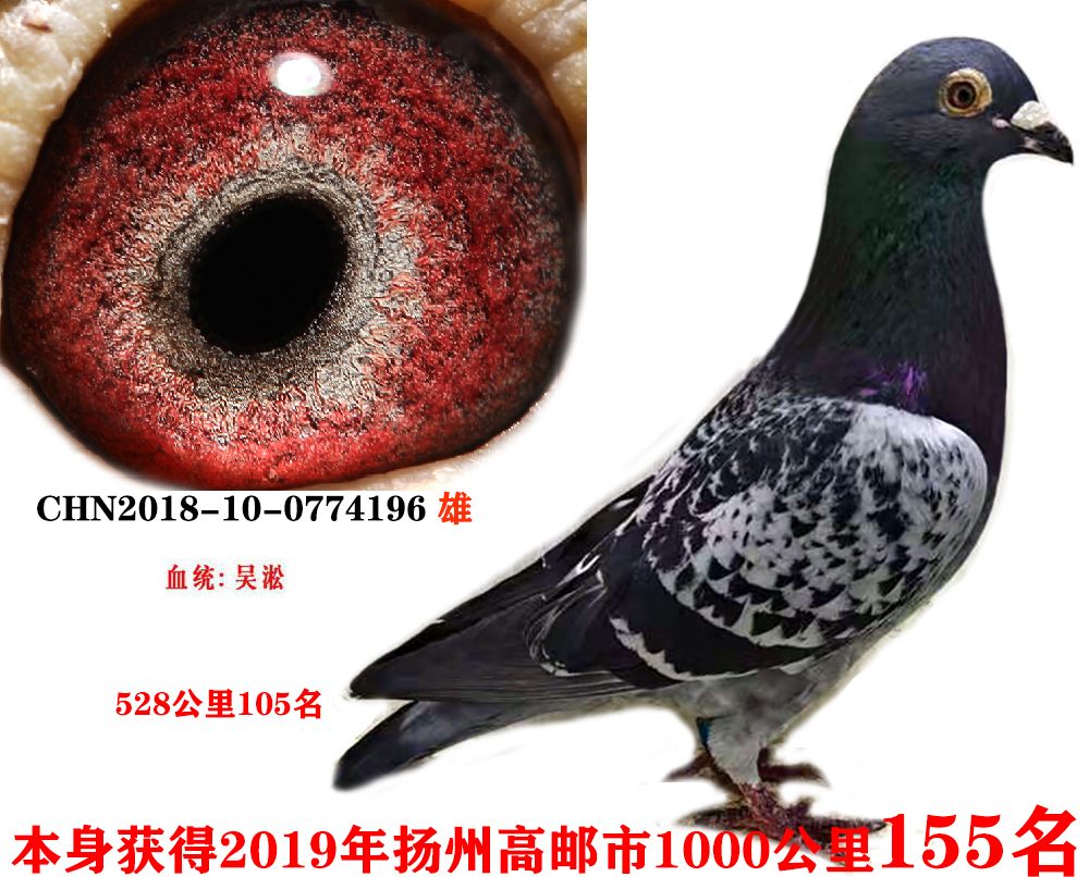 d6a264120907cb984d3746564788714