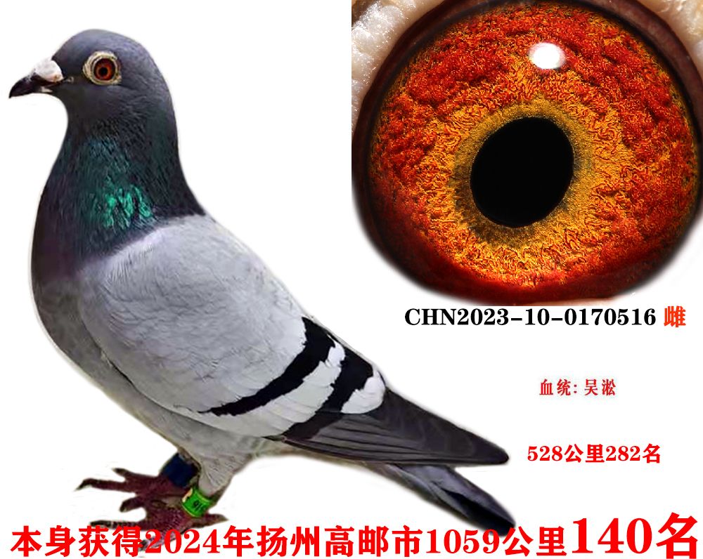 b76964d1b7b82d85a2c1c65c2c3e7b4