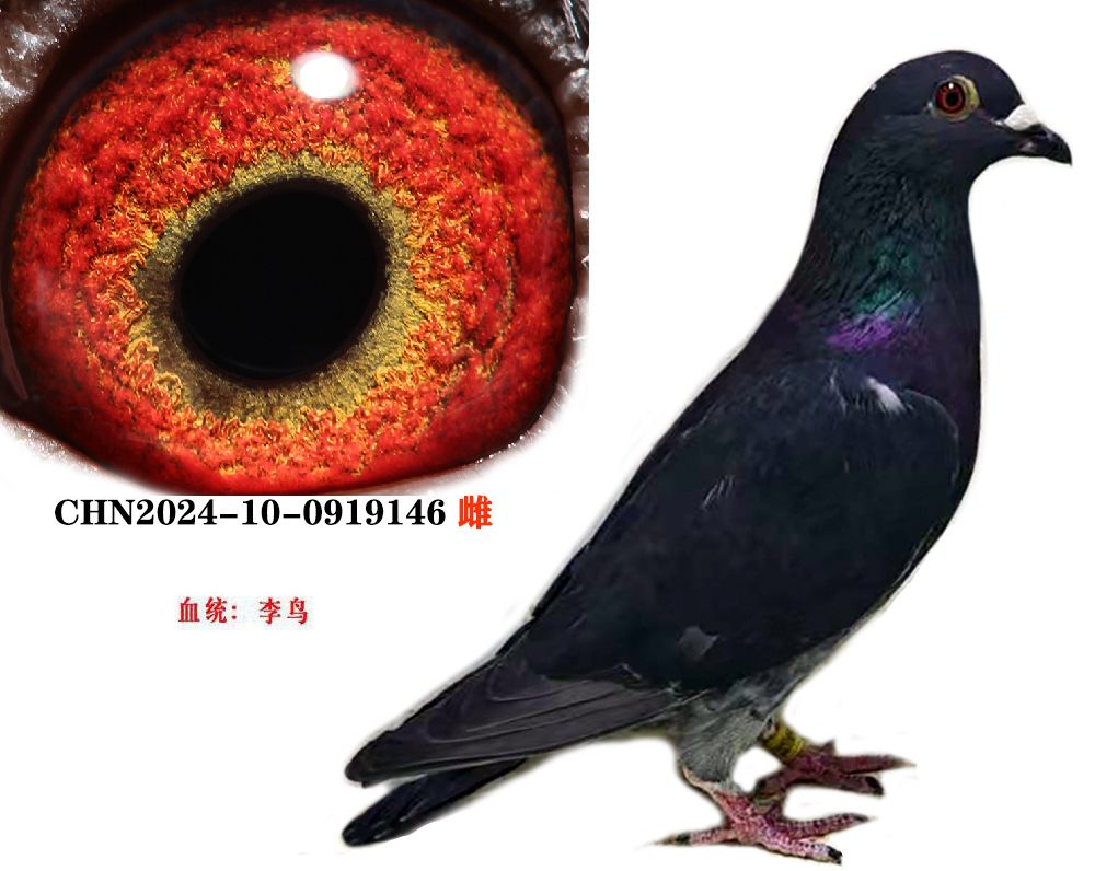 66735cca9bc9ffa7e3356b559e9350f