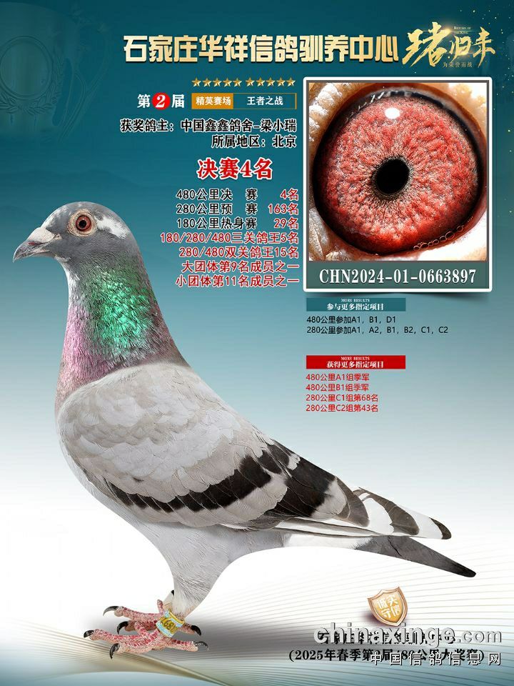 ҽؙO