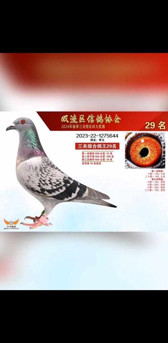 24pِ29