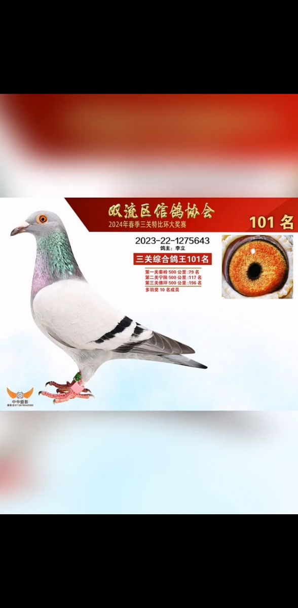p24괺ِ101