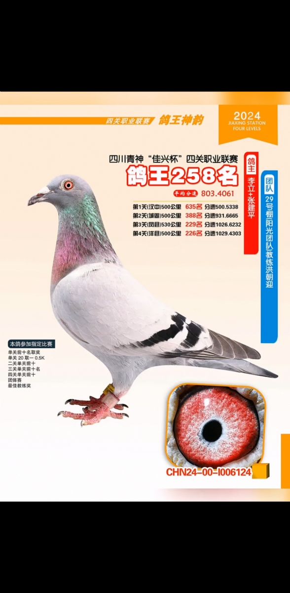 d㘷P(gun)258