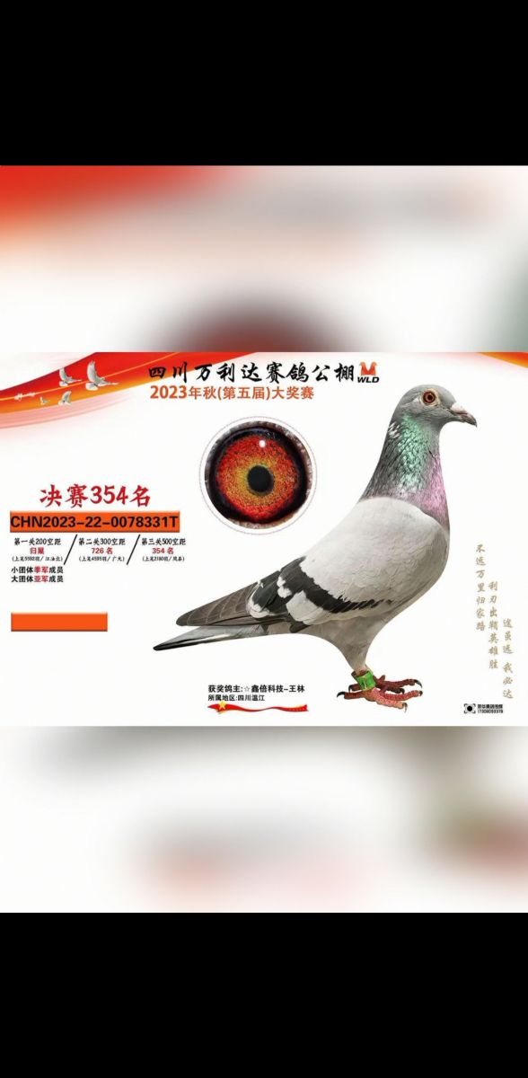 2023f(wn)_(d)Qِ354