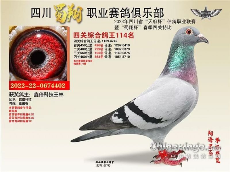 2023㘷(l)P(gun)114