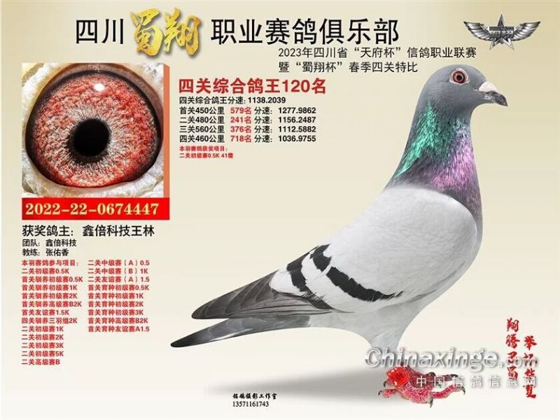 2023㘷P(gun)120