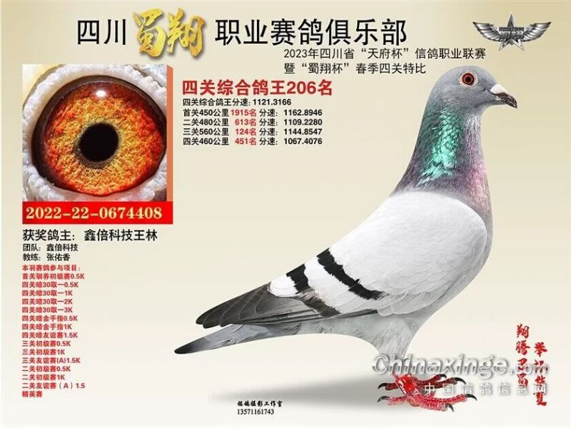 2023年蜀翔俱乐部四关鸽王206名
