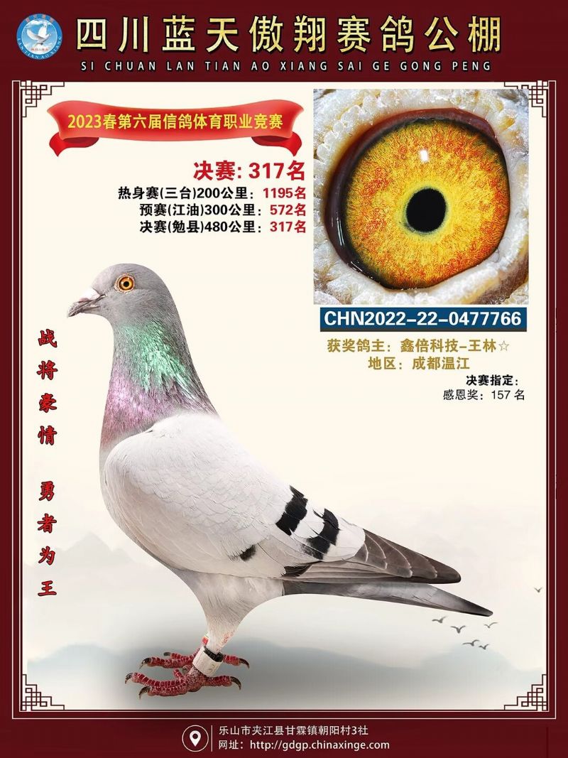 2023{찿蹫Qِ317