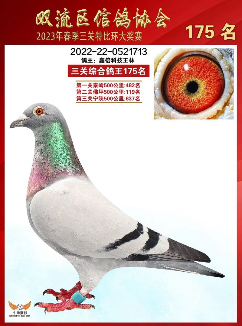 2023pP175