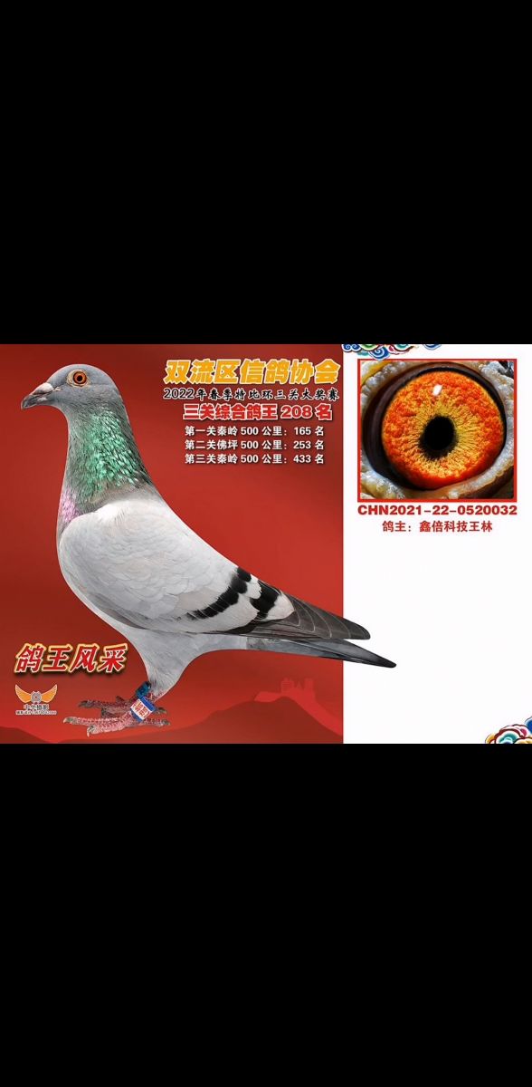 2022pP208