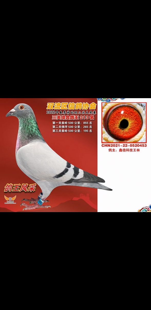 2023pP(gun)213
