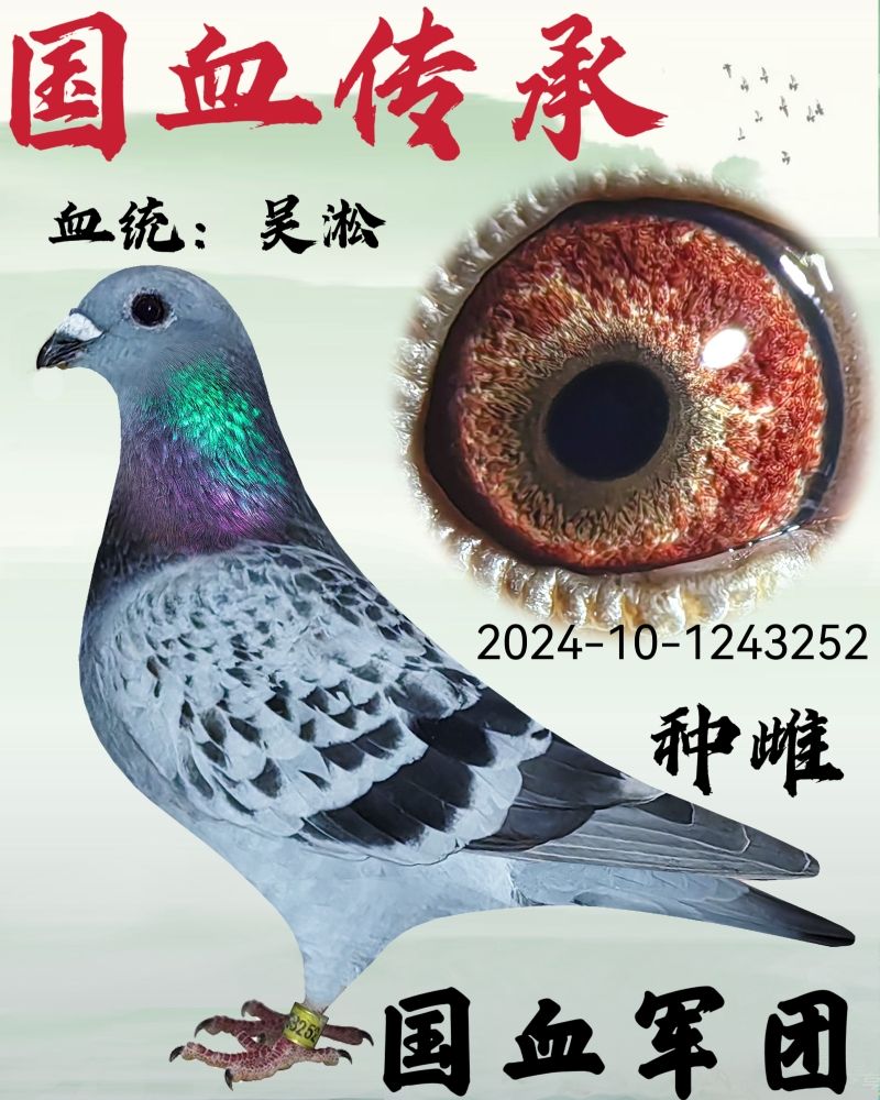 吴淞种雌