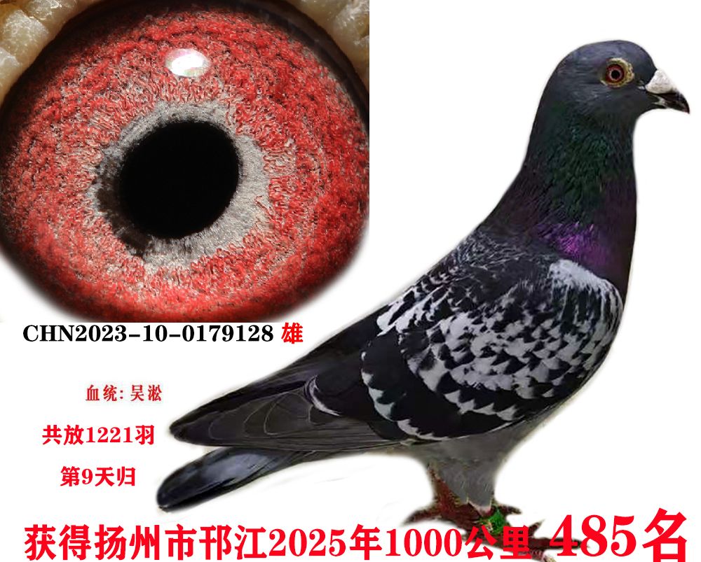 ǧ485