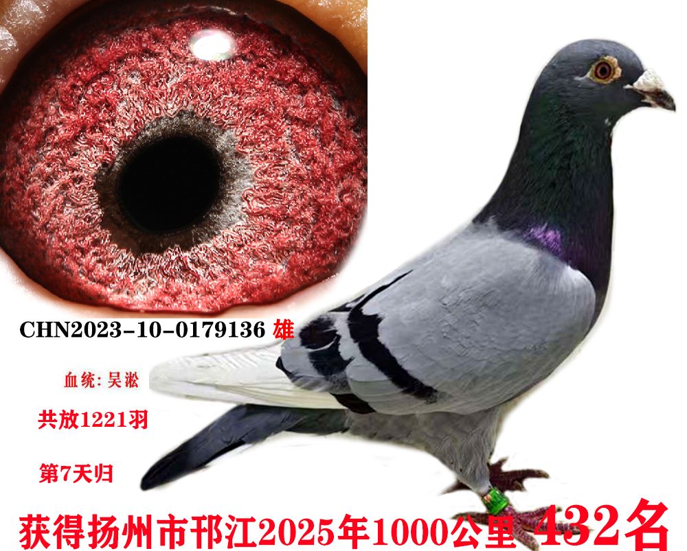 ǧ432