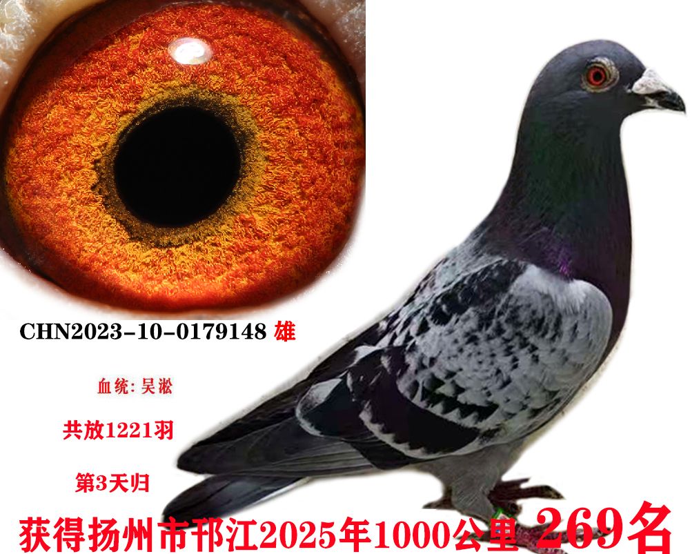 ǧ269