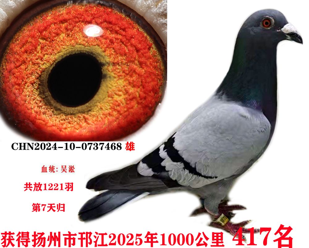 ǧ417