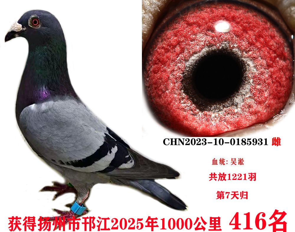 ǧ416