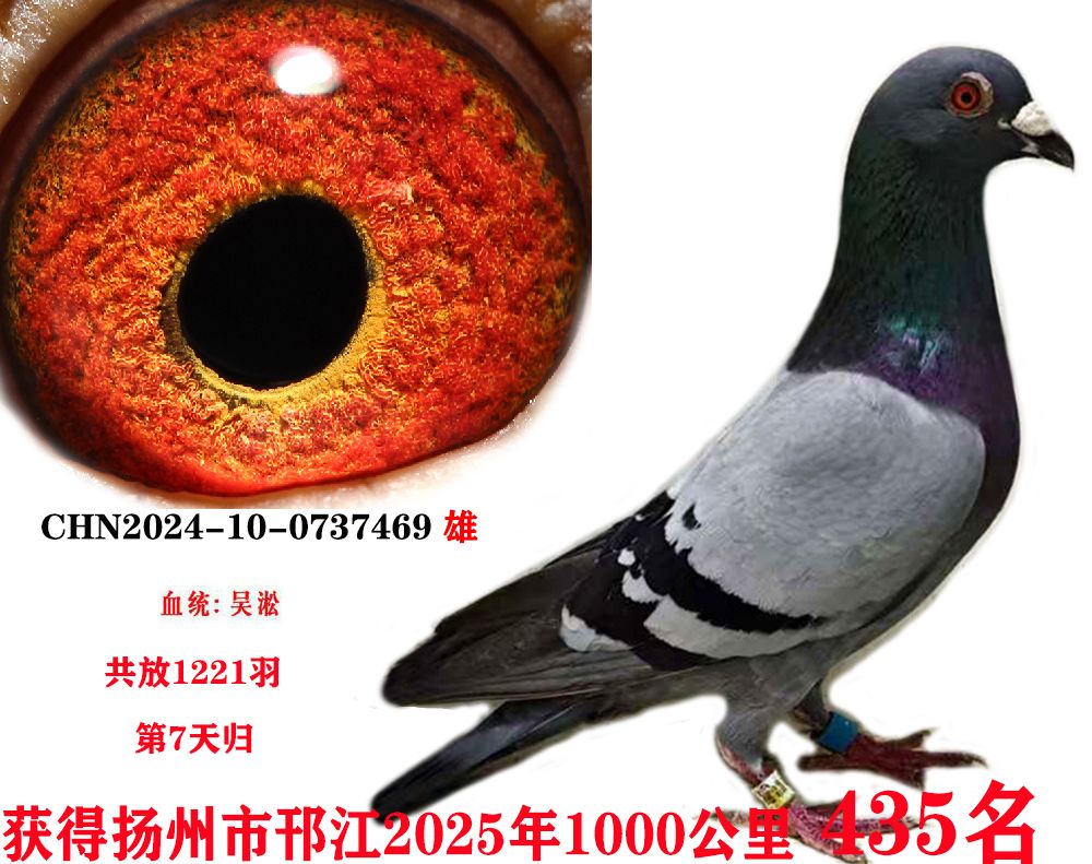 ǧ435