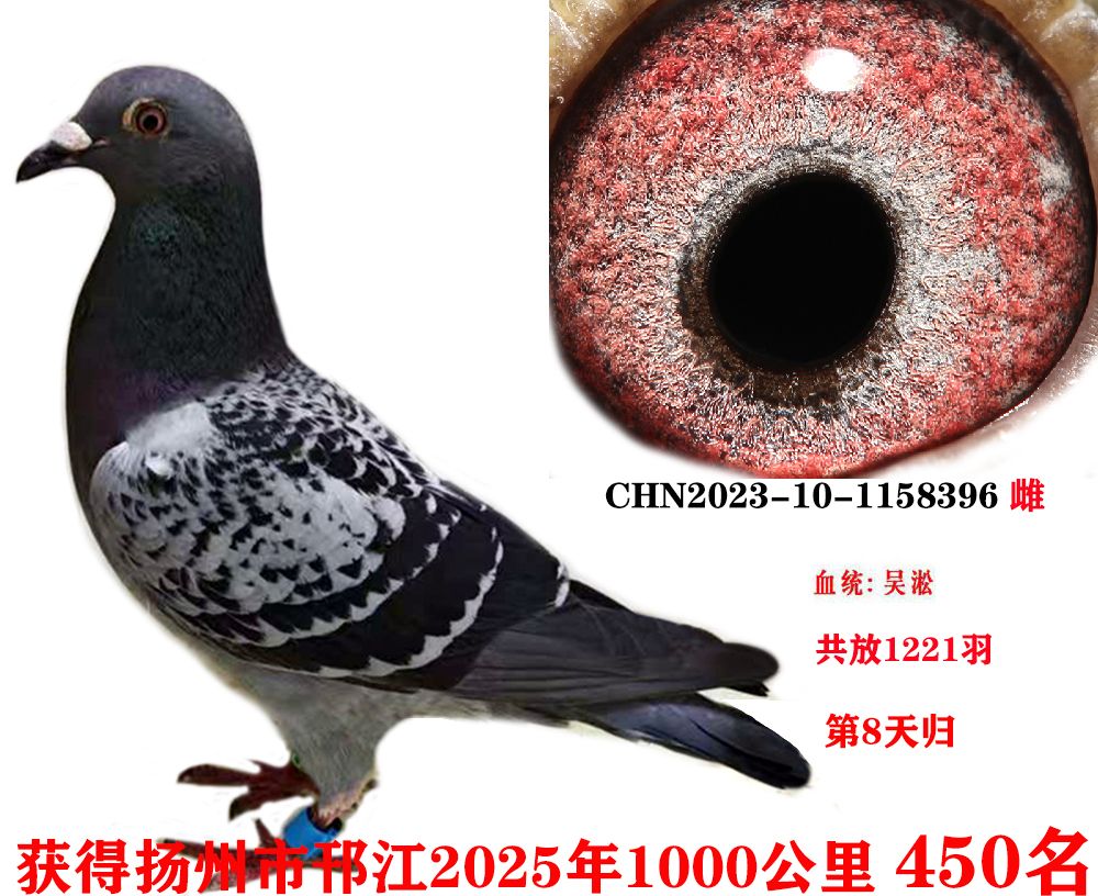 ǧ450