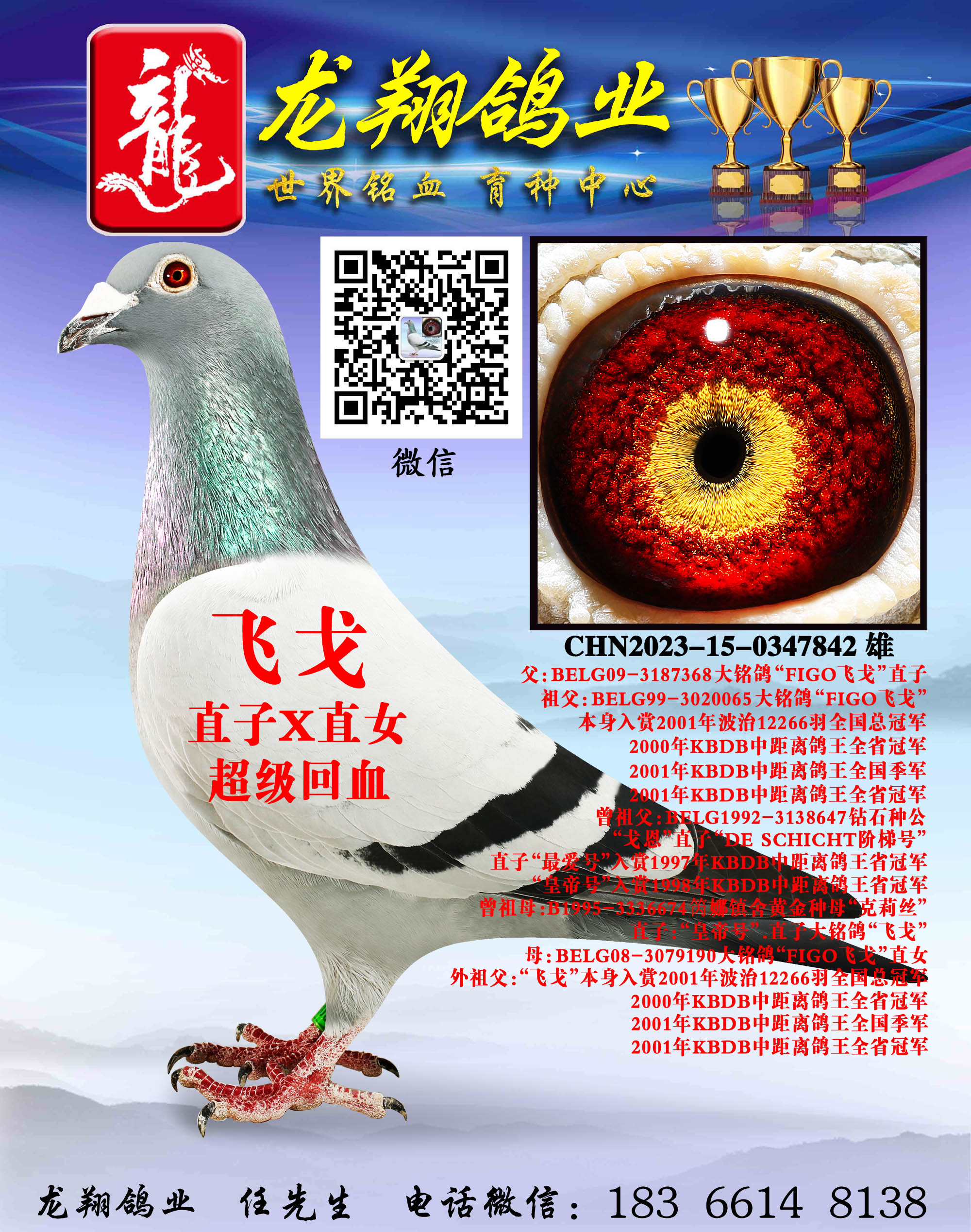 wꡱHֱO
