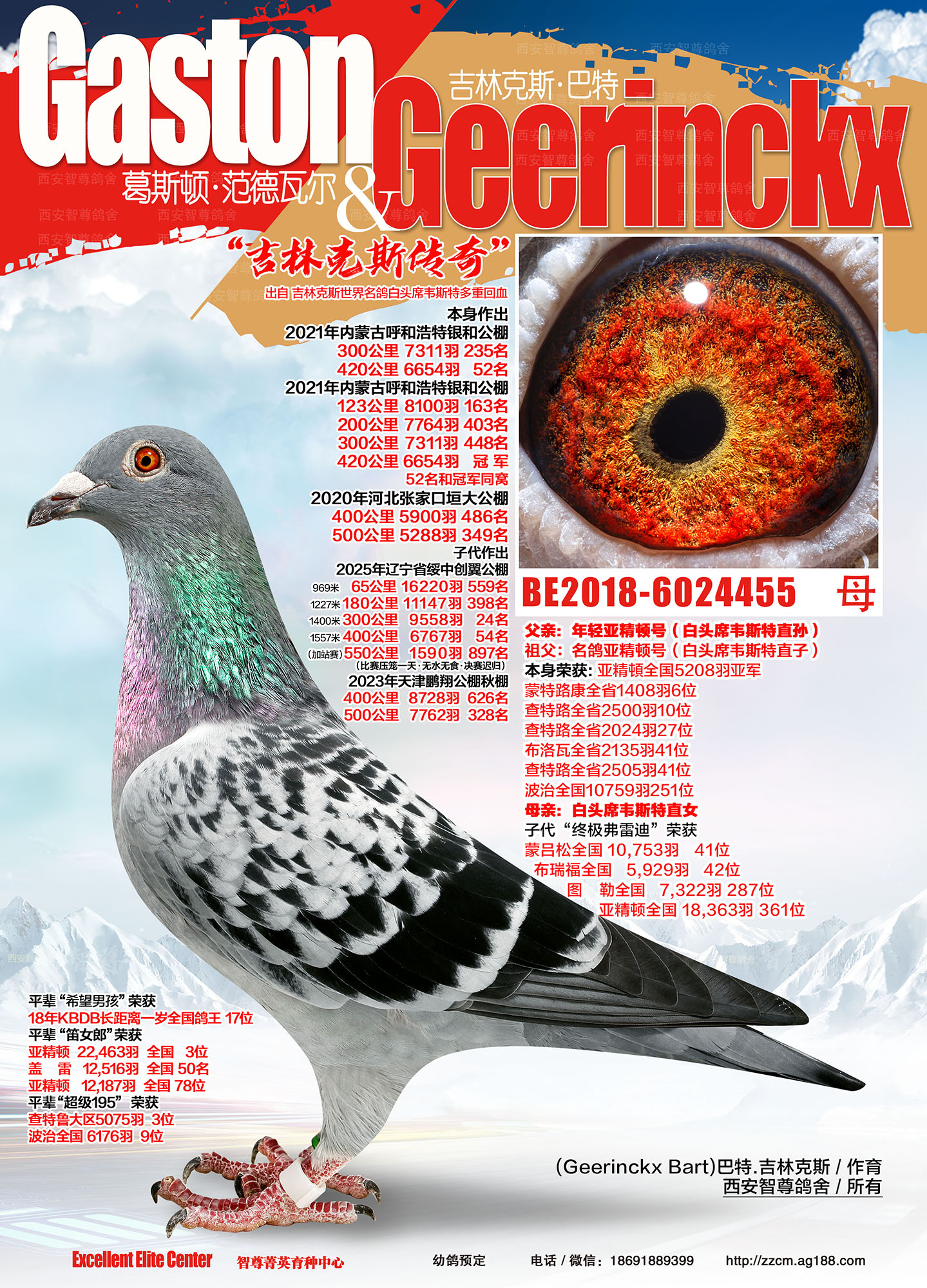 吉林克斯传奇